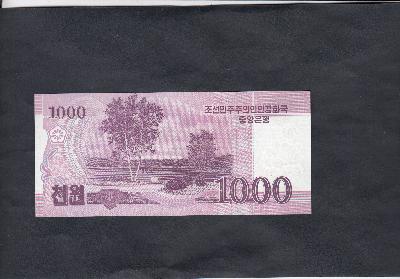 Beschrijving achterzijde: TREE